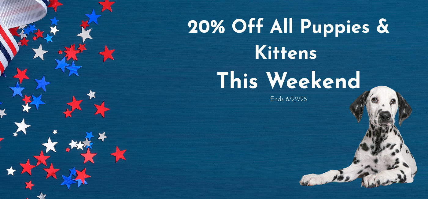 Find Puppies & Kittens For Sale banner