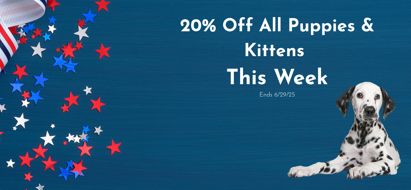 Find Puppies & Kittens For Sale banner