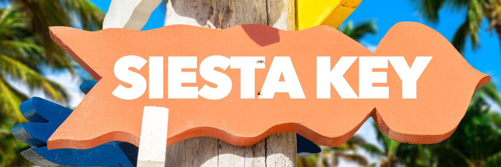 Pet Store Banner